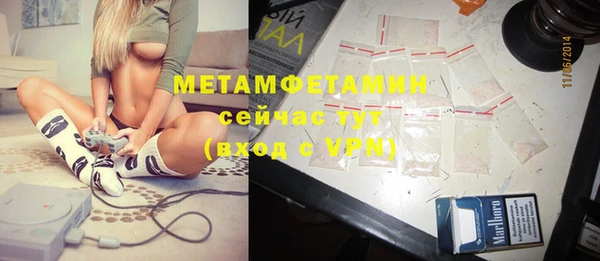 ГАЛЛЮЦИНОГЕННЫЕ ГРИБЫ Заволжье
