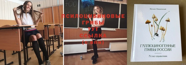 ГАЛЛЮЦИНОГЕННЫЕ ГРИБЫ Заволжье