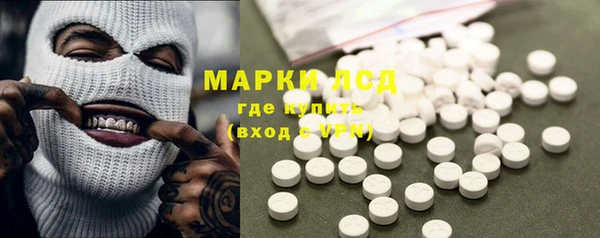 ГАЛЛЮЦИНОГЕННЫЕ ГРИБЫ Заволжье