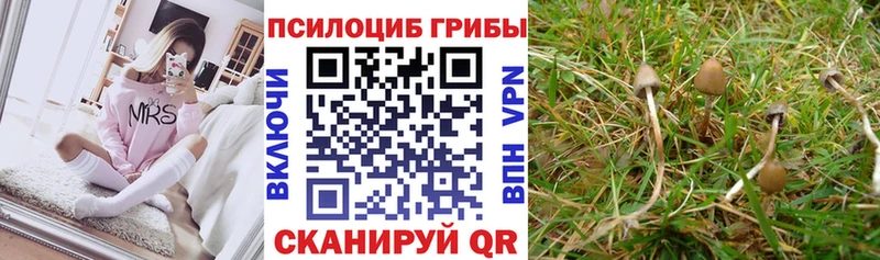Галлюциногенные грибы ЛСД где купить наркотик KRAKEN сайт Карасук