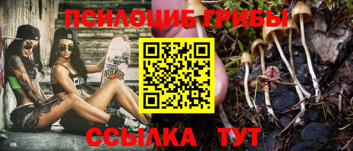 Карасук  Псилоцибиновые грибы Psilocybine cubensis  Вход с VPN  Галлюциногенные грибы прущие грибы 