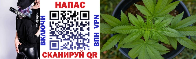 Марихуана план Карасук